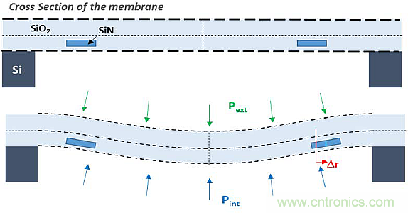 大腦神經探針?我看用MOM壓力傳感器蠻合適
