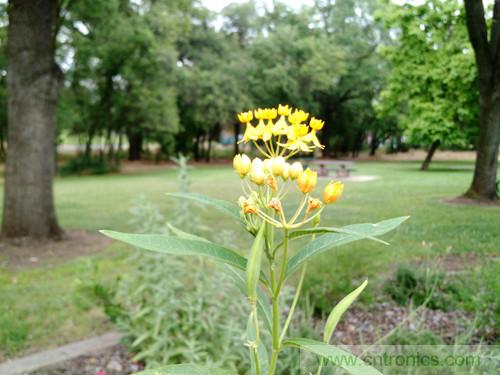 無(wú)數(shù)的拍攝，只為成就一個(gè)完美回憶