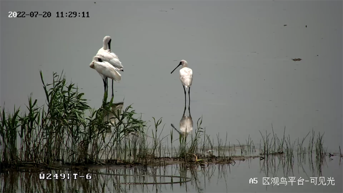 ?？低暟l(fā)布2022年ESG報(bào)告：科技為善，助力可持續(xù)的美好未來(lái)